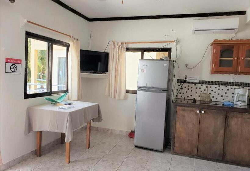 إستوديو قياسى مطل على البحر, Beach Side Condos Caye Caulker By Ccvh