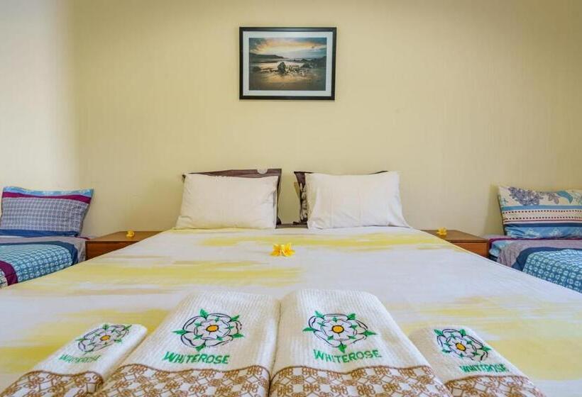 Семейный Номер, Whiterose Guesthouse