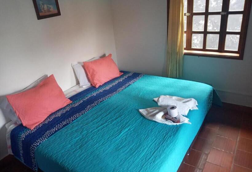标准间带阳台, Hostal El Pino