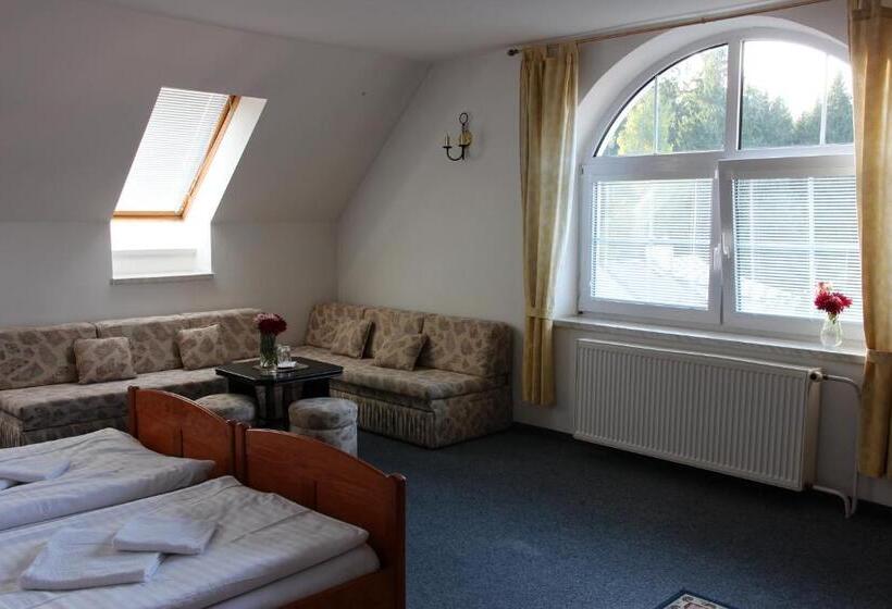 Номер Стандарт, Pension Najdek
