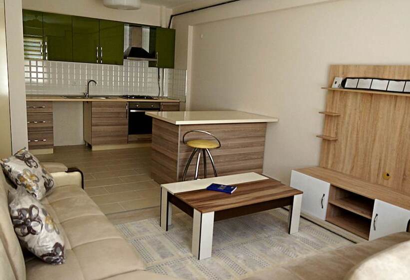 اتاق لوکس یک تخته, Hayat Home Suite