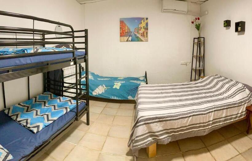 غرفة قياسية حمام مشترك, Dotan S Boutique Guesthouse   By The Beach!