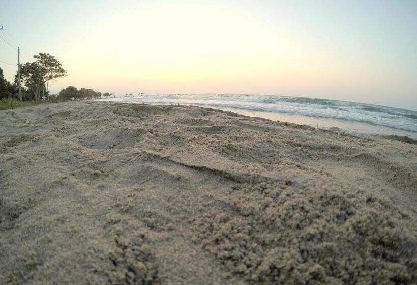 اتاق عادی, Camino Palmero Coveñas