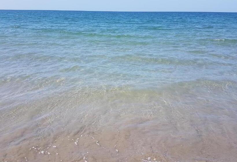 استودیوی استاندارد, Camino Palmero Coveñas