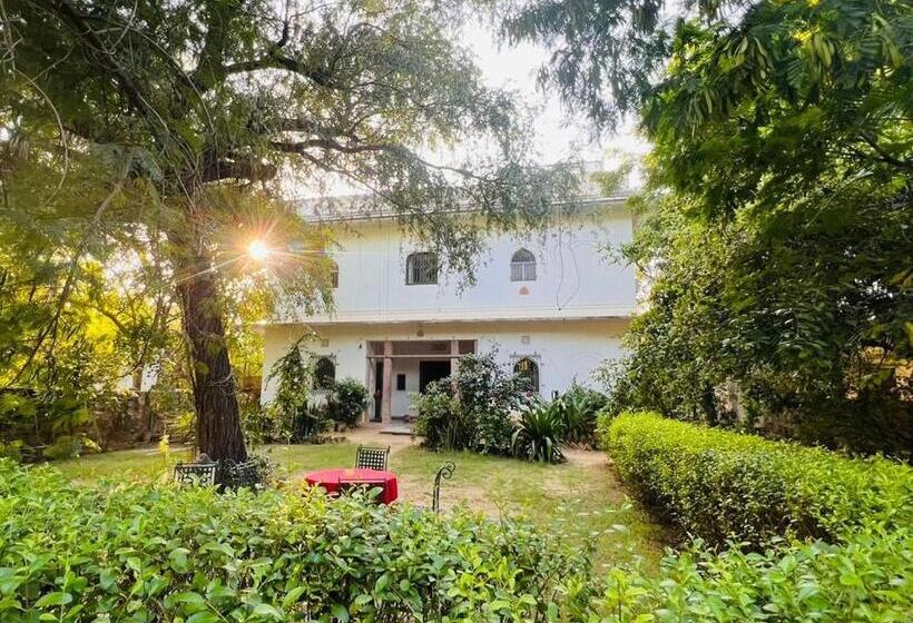 Номер Deluxe, Kawa Guest House
