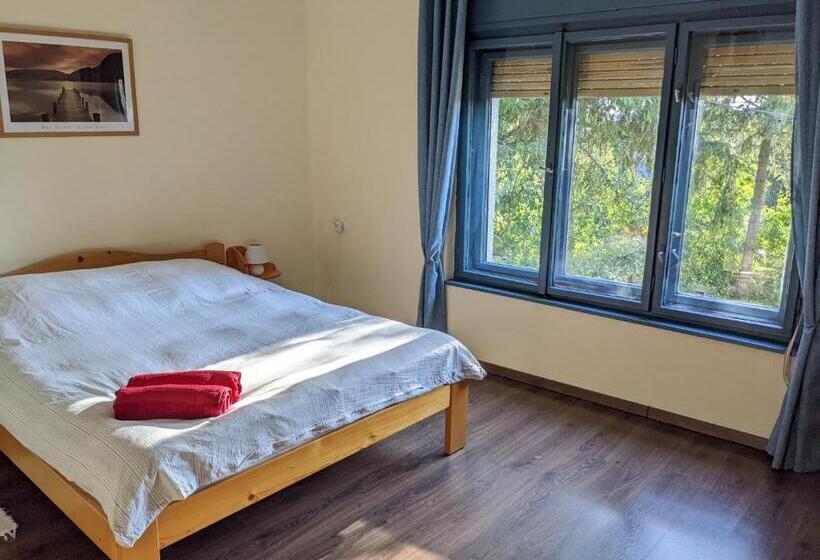 Дом 1 Спальня, Guest House Magyar Route 66