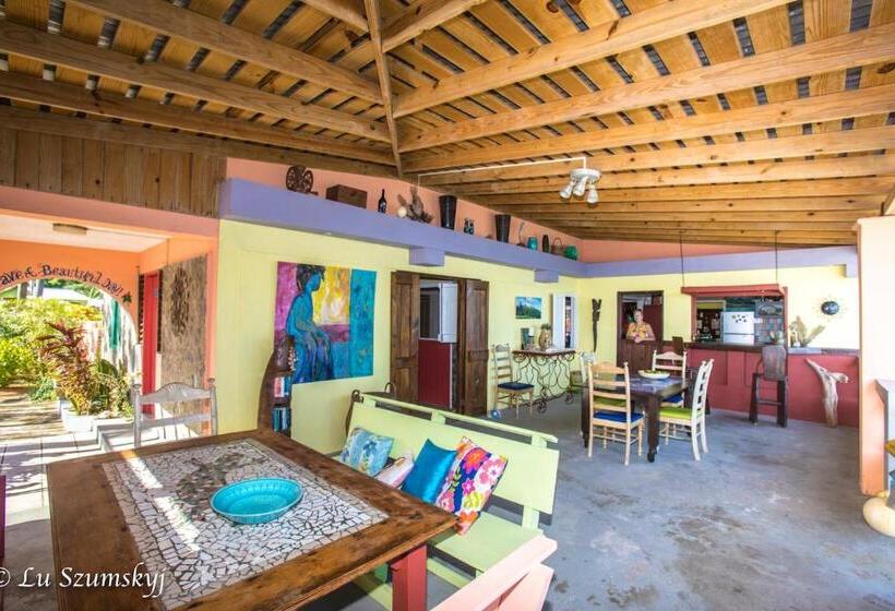 اتاق استاندارد با چشم‌انداز باغ, Veranda View Guesthouse