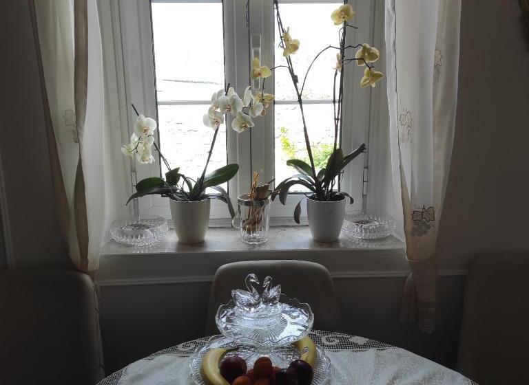 آپارتمان 1 خوابه با چشم‌انداز دریا, Guesthouse Bogdanovic