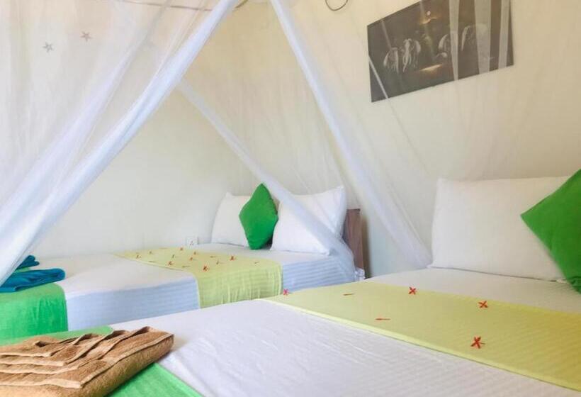 Семейный Номер Вид на Горы, Darshani Lodge