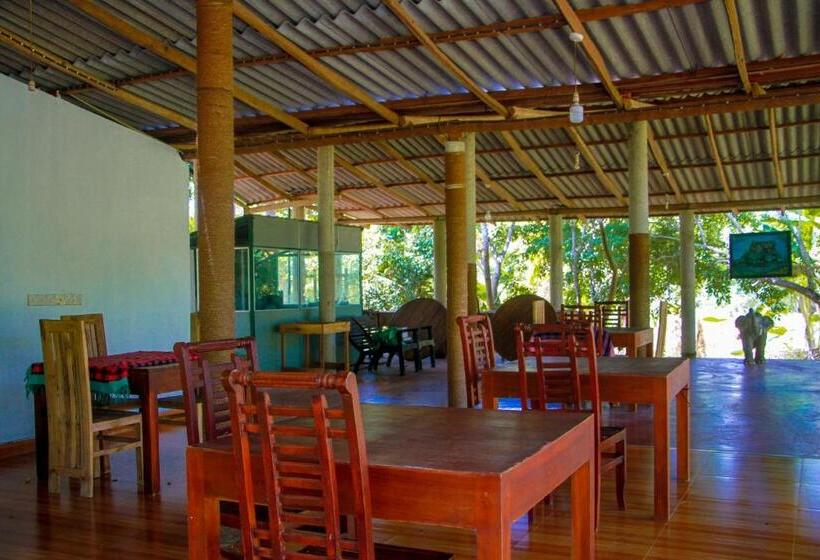 Номер Deluxe с Видом, Darshani Lodge
