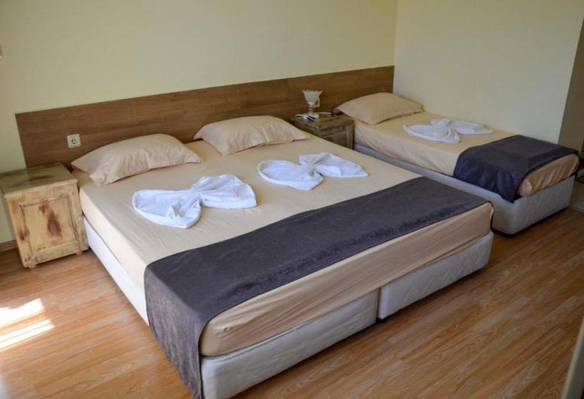 اتاق استاندارد سه تخته با بالکن, Edelvais Guest House