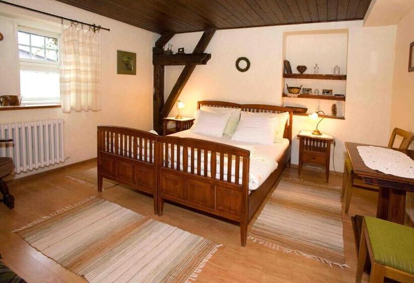 غرفة قياسية, Pension Brusenka