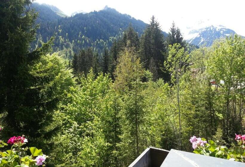 غرفة قياسية فردية, Haus Widdersteinblick