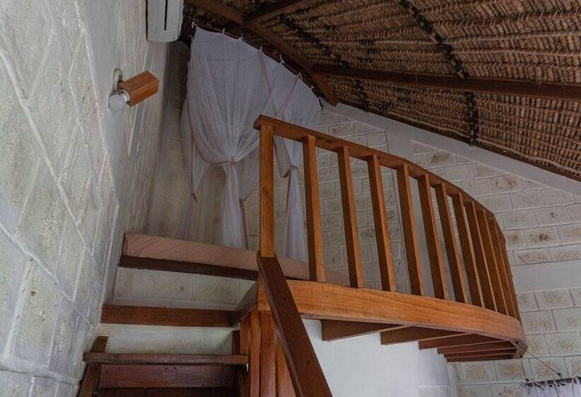 اتاق خانوادگی, La Joya Biu Biu Resort