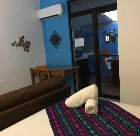 استودیوی استاندارد, Buenos Días Guest House