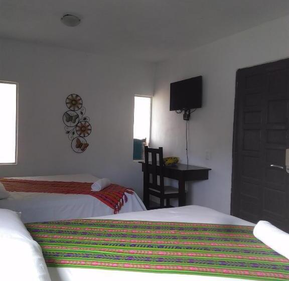 استودیو ساده, Buenos Días Guest House