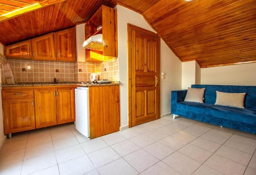 Номер Стандарт, Tayfun Apart