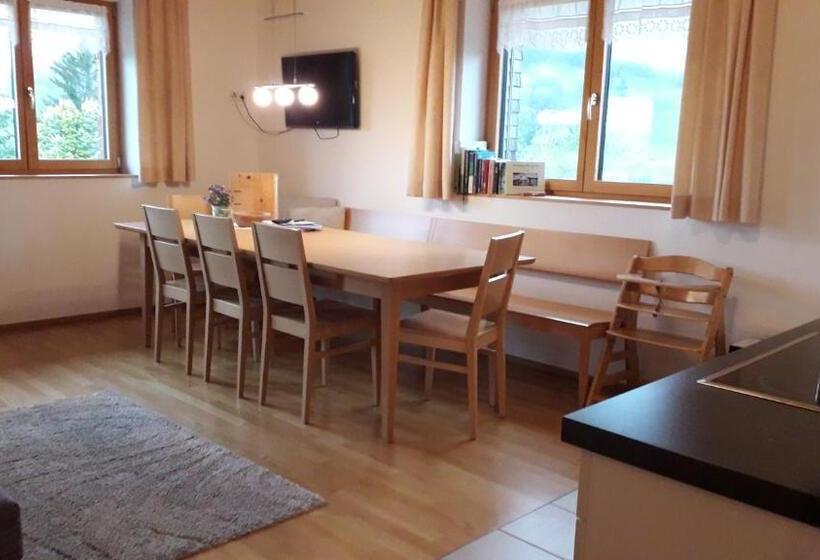 Апартаменты 1 Спальня с Видом, Haus Hagspiel