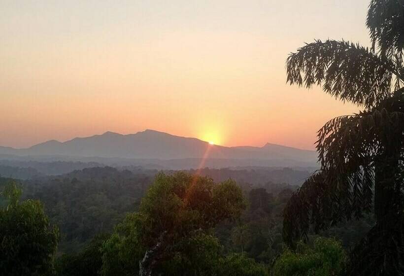 一楼标准间, Forestdale Coorg