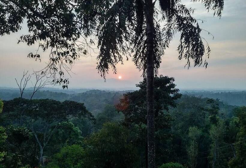 一楼标准间, Forestdale Coorg