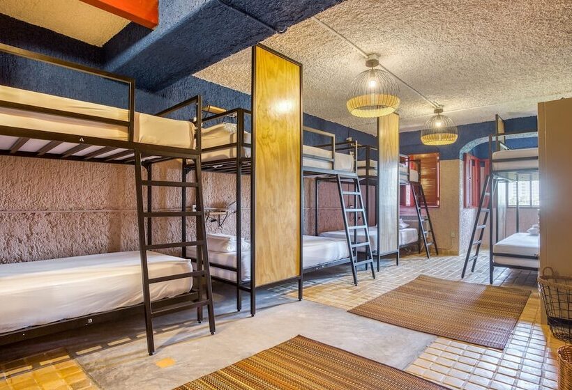 تختخواب در اتاق مشترک, Selina Cancun Laguna  Zone Hotelera