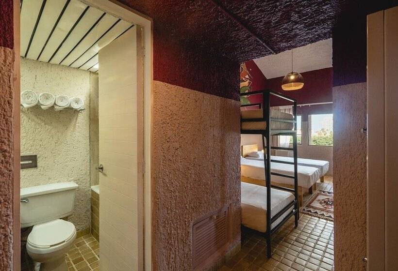 تختخواب در اتاق مشترک, Selina Cancun Laguna  Zone Hotelera