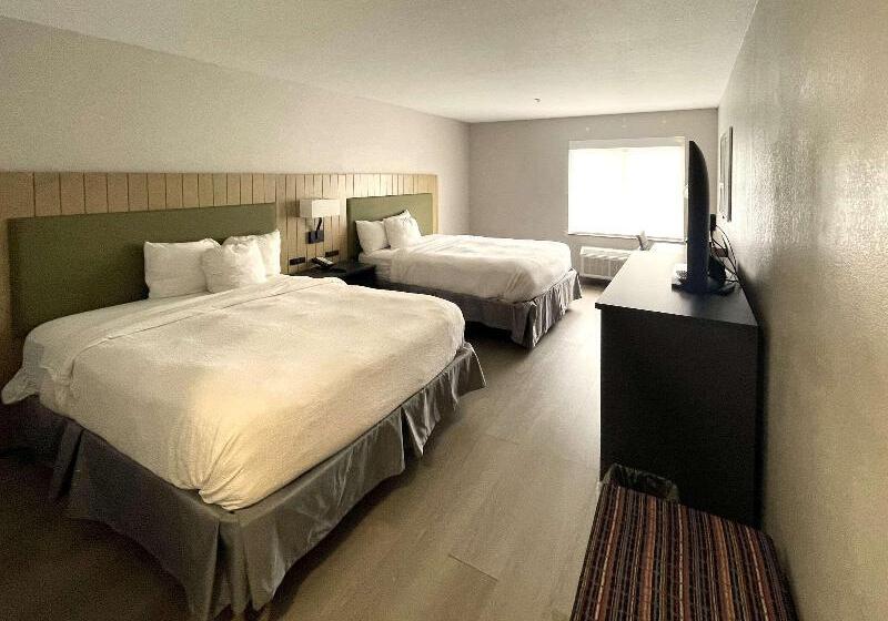 スタンダードルーム, Hostal Europa Punico