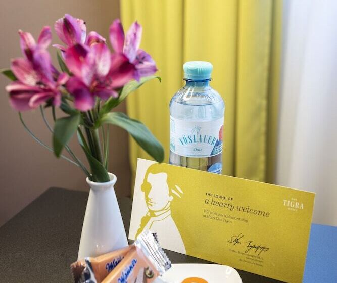 컴포트 룸, Boutique Hotel Das Tigra