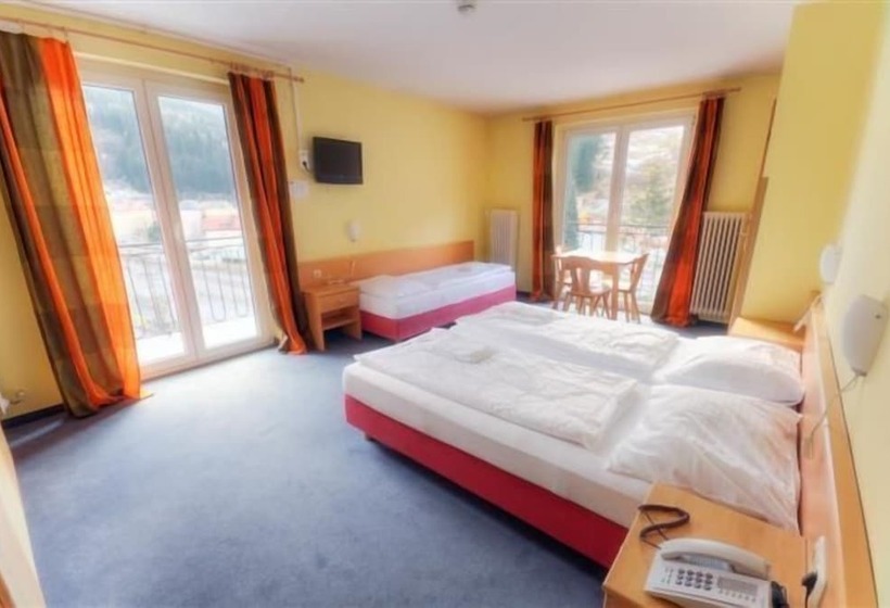 اتاق استاندارد سه نفره, Euro Youth Hotel & Krone