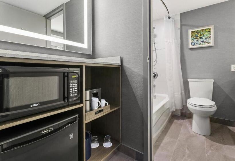 스탠다드 룸 킹사이즈 침대, Best Western Premier Calgary Plaza Hotel & Conference Centre