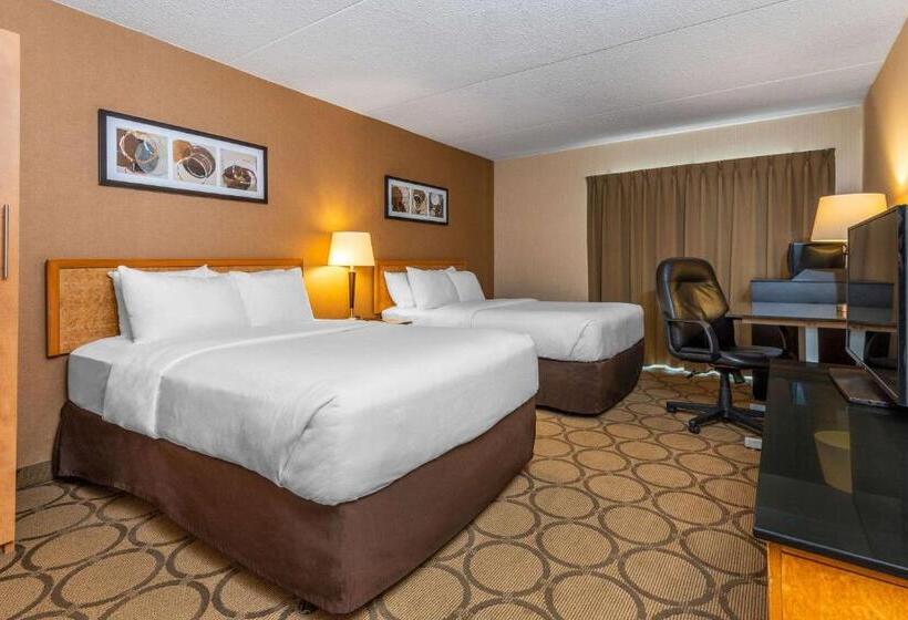 带2个双人床的标准工作室, Comfort Inn