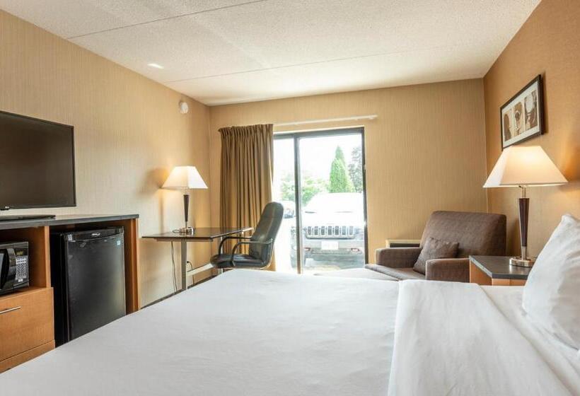 一楼标准间, Comfort Inn