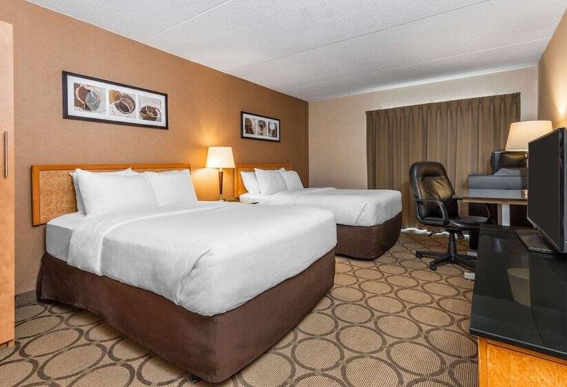 스탠다드 룸 더블 침대 2개, Comfort Inn