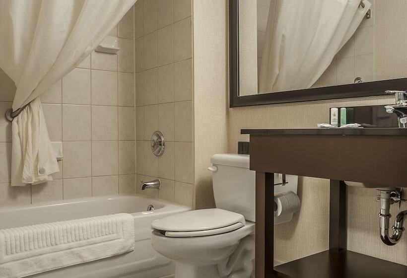 اتاق استاندارد با 2 تخت دوبل, Comfort Inn
