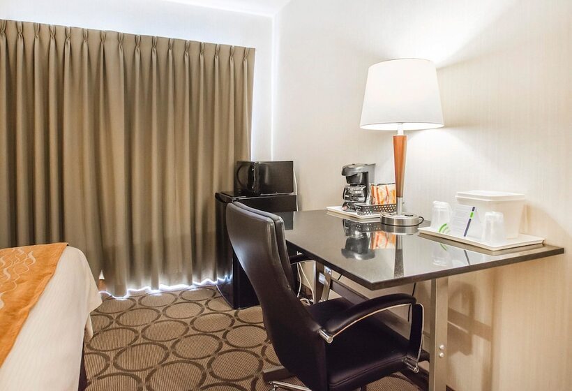 اتاق استاندارد با 2 تخت دوبل, Comfort Inn