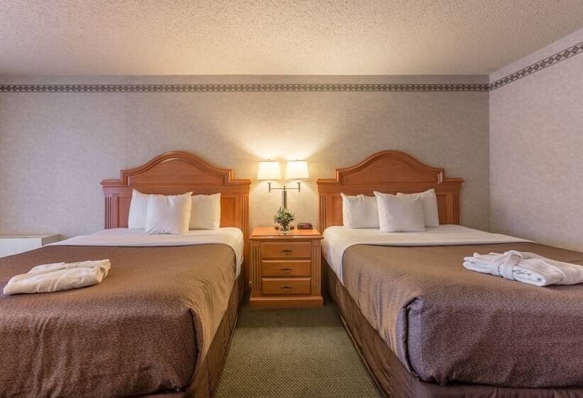 高级大房间, Banff Park Lodge