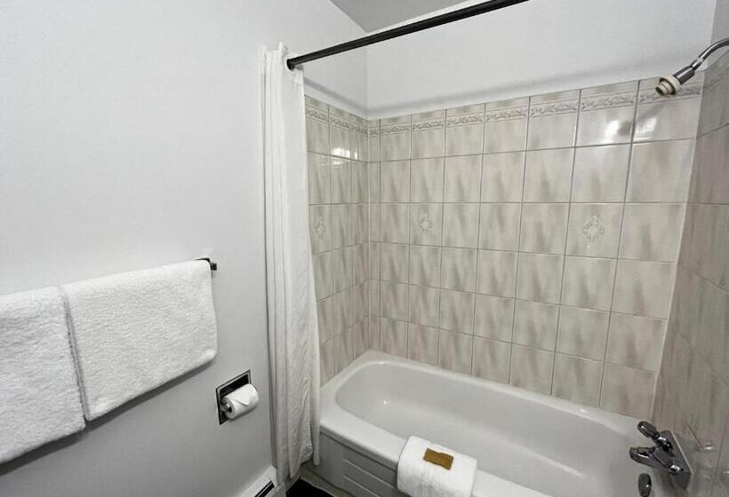 سوئیت با تخت بزرگ, Anavada Inn & Suites  Prince George