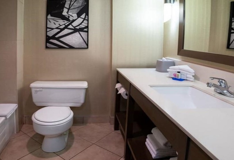 스탠다드 룸 더블 침대 2개, Holiday Inn Express Vancouvermetrotown