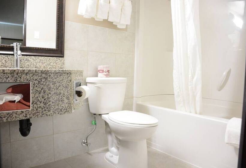 غرفه قياسيه سريرين مزدوجين, Travelodge By Wyndham Lethbridge