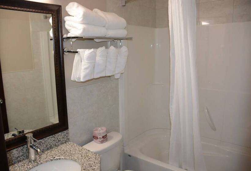 غرفه قياسيه سريرين مزدوجين, Travelodge By Wyndham Lethbridge