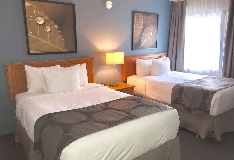 스탠다드 룸 더블 침대 2개, Quality Inn Rouynnoranda