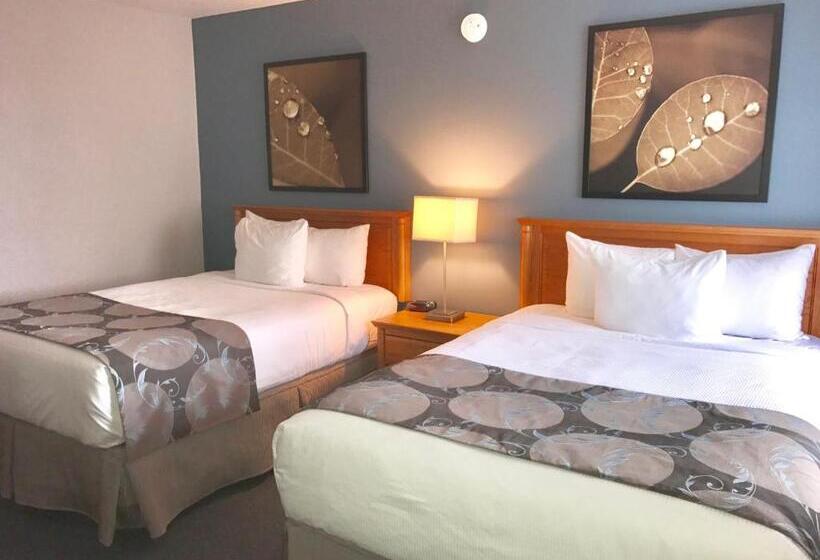 스탠다드 룸 더블 침대 2개, Quality Inn Rouynnoranda