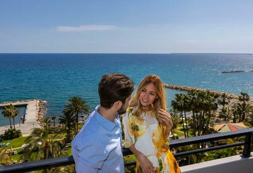 海景经济间, Amathus Beach Hotel Limassol