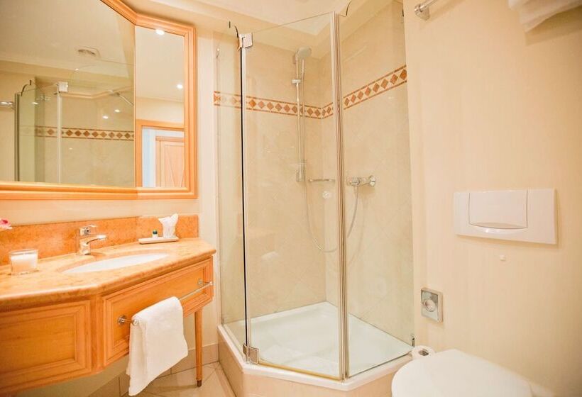 Номер Стандарт Индивидуальный, Central Hotel Kaiserhof