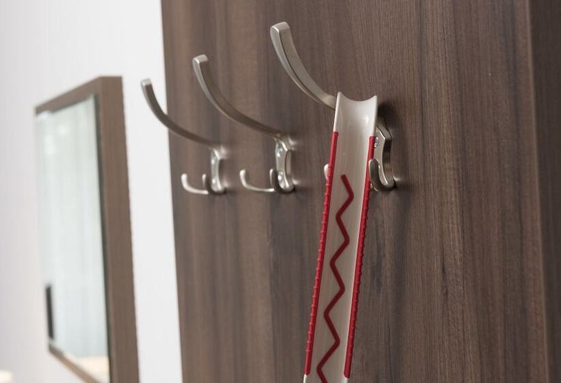 اتاق کلاس بیزنس, Wyndham Garden Kassel