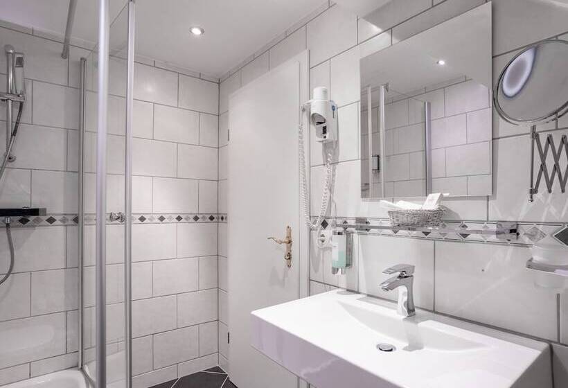 Standard Single Room, Burghotel Staufenberg