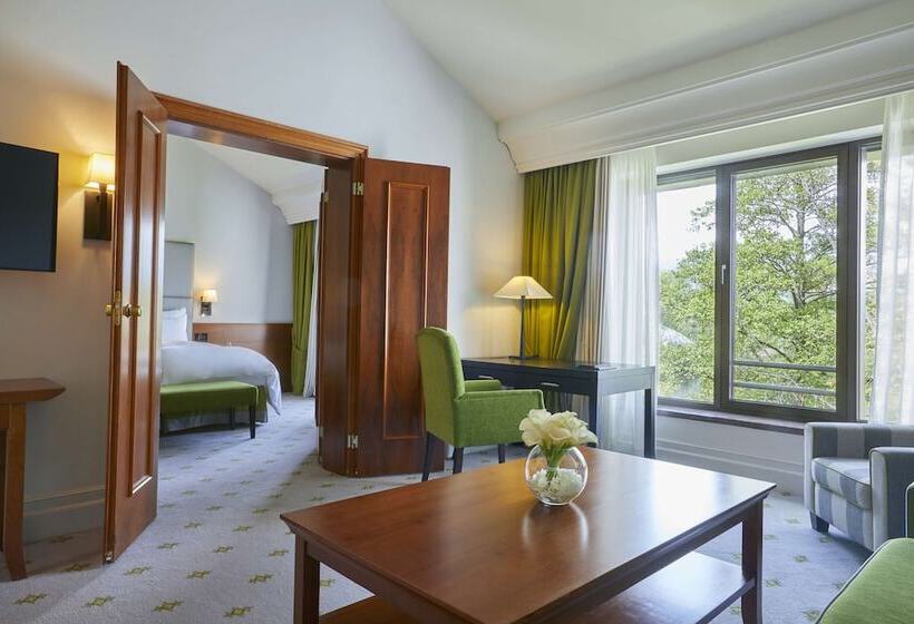 جناح جونيور ديلوكس, Hilton Frankfurt Gravenbruch