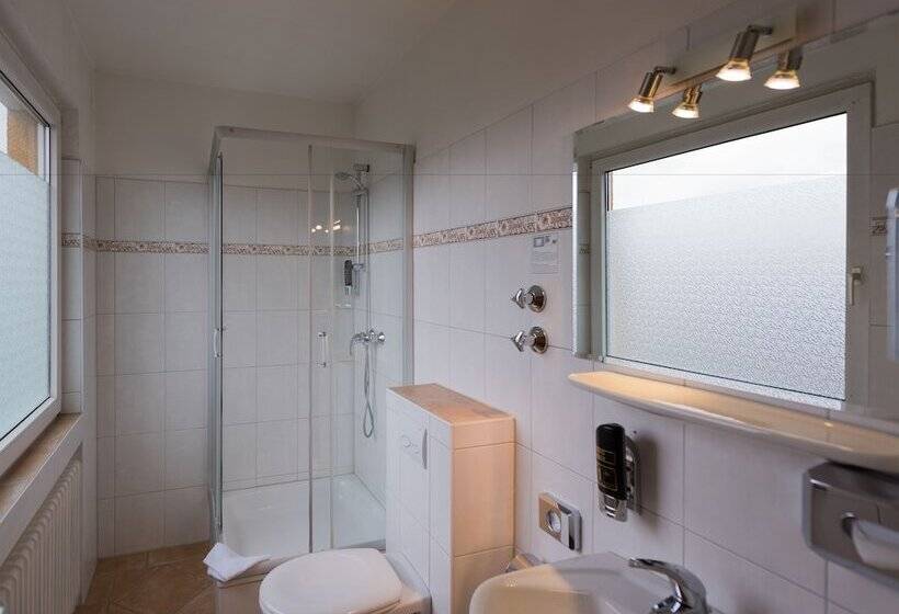 اتاق استاندارد یک نفره, Tagungshotel Höchster Hof