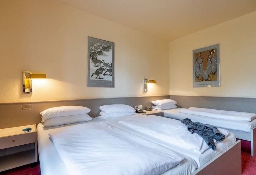 Номер Стандарт Трехместный, Baden Baden