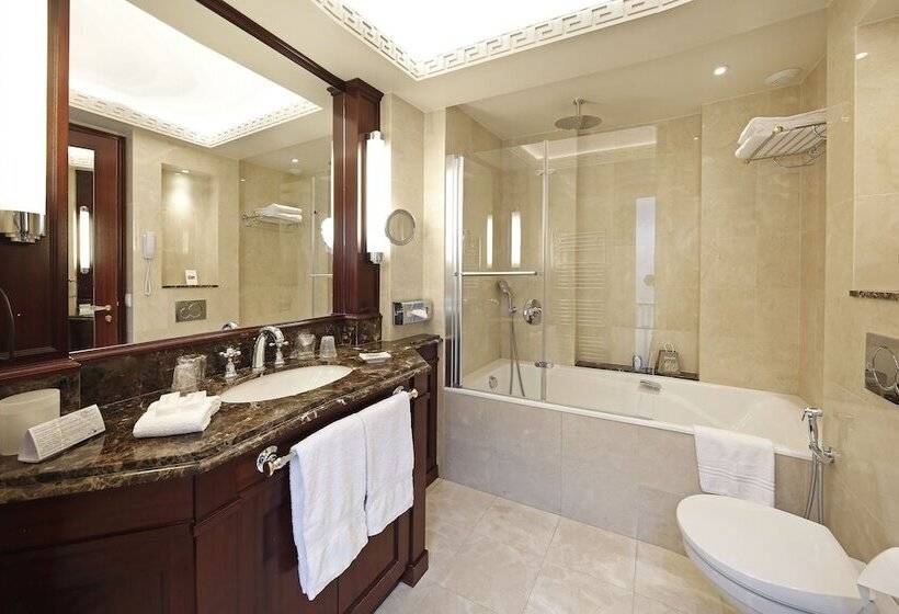 Полулюкс, Hôtel Napoleon Paris
